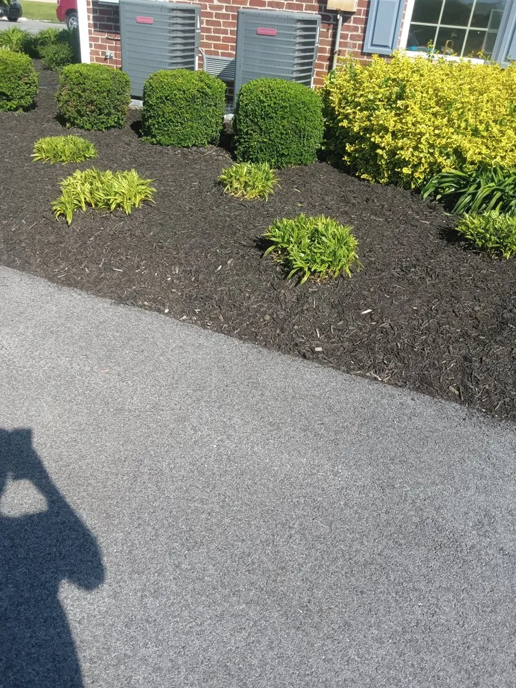 Custom lawn care service in Thomasville, PA - Dorsey's Property Maintenance