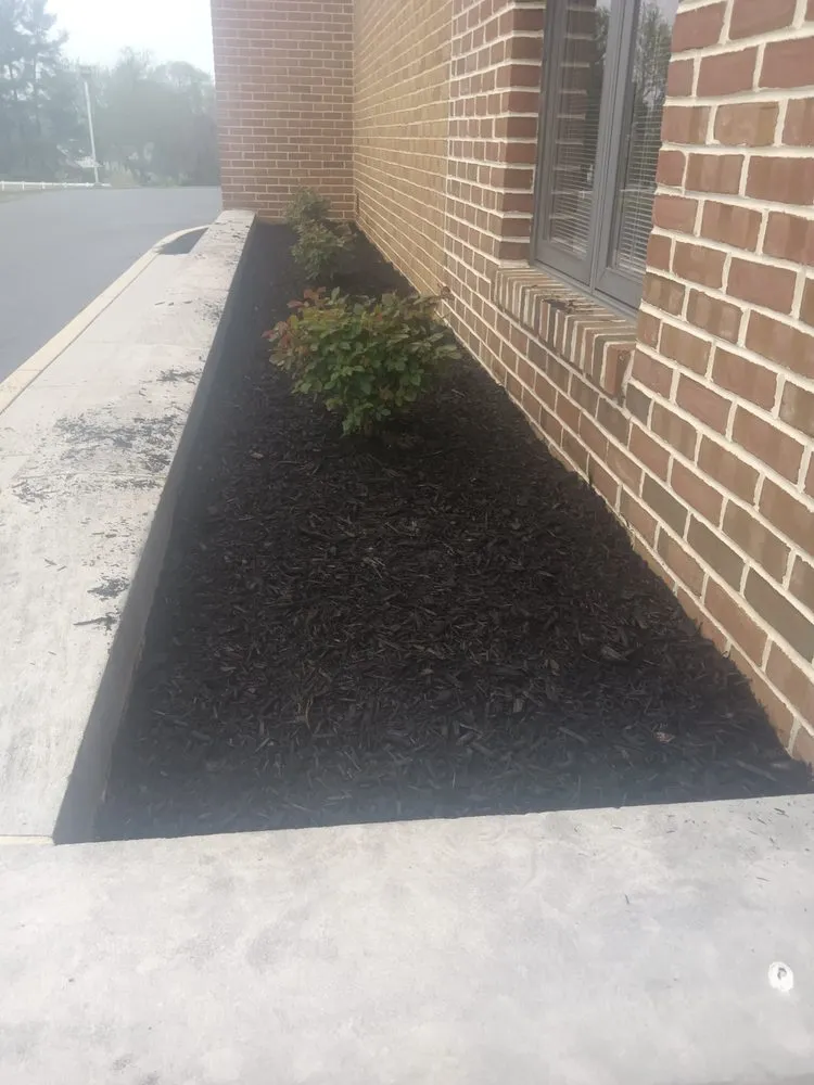 Professional yard maintenance in Thomasville, PA by Dorsey's Property Maintenance