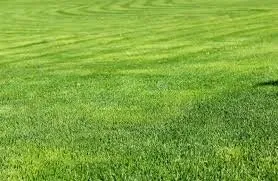 Custom residential landscaping in Cookeville, TN by Dos Bro's landscaping