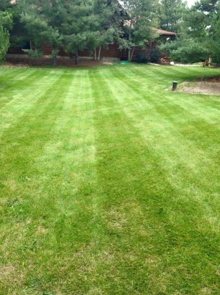 Custom lawn mowing service in Austin, TX - Dos Bros Lawn