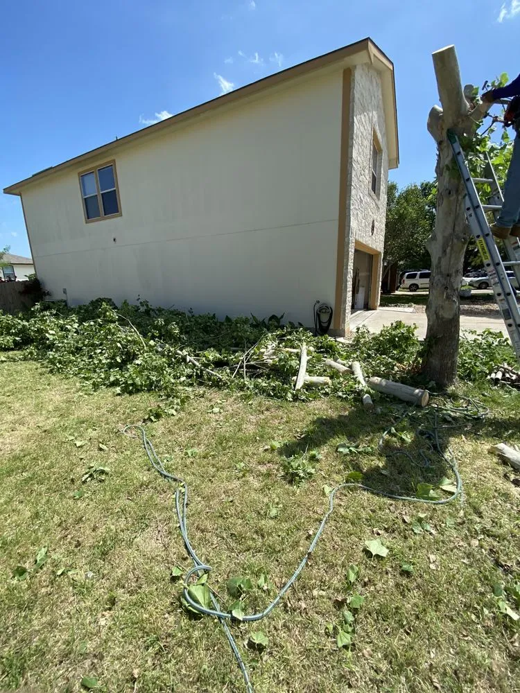 Expert landscape design for residential properties across Austin, TX - Dos Bros Lawn