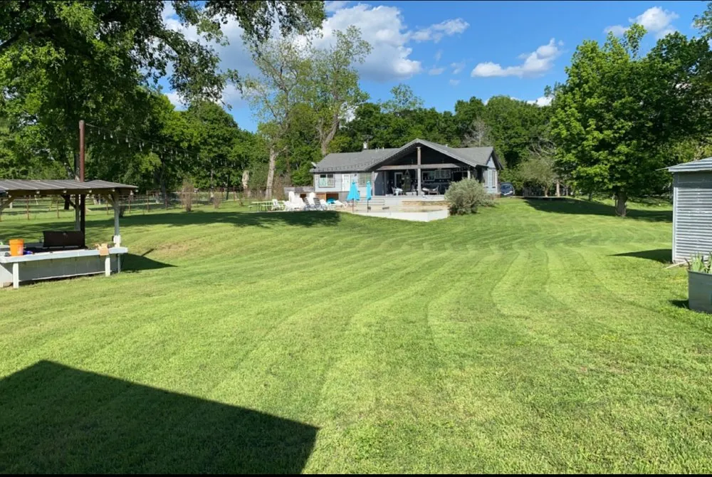 Local yard cleanup service experts serving Austin, TX - Dos Bros Lawn