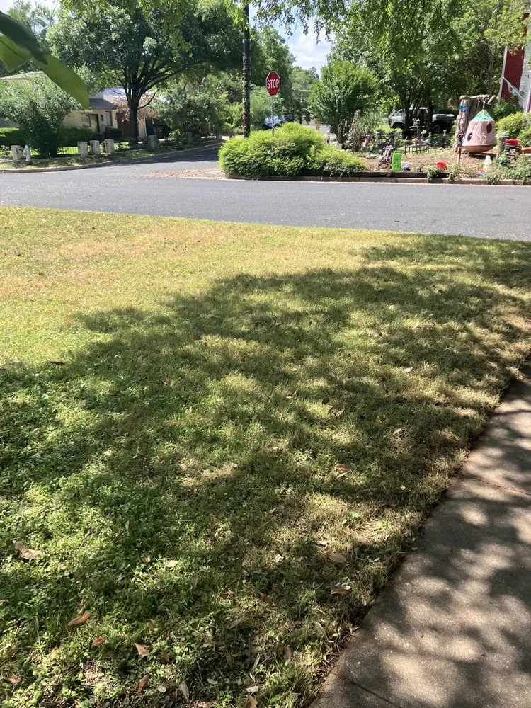 Affordable yard maintenance with custom design in Austin, TX by Dos Bros Lawn