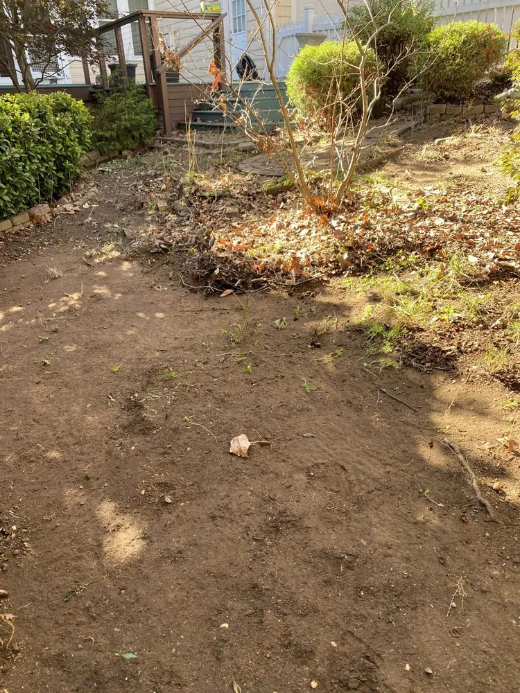 Professional lawn care service with custom design in Chapel Hill, NC by Dos Bros Lawn Care