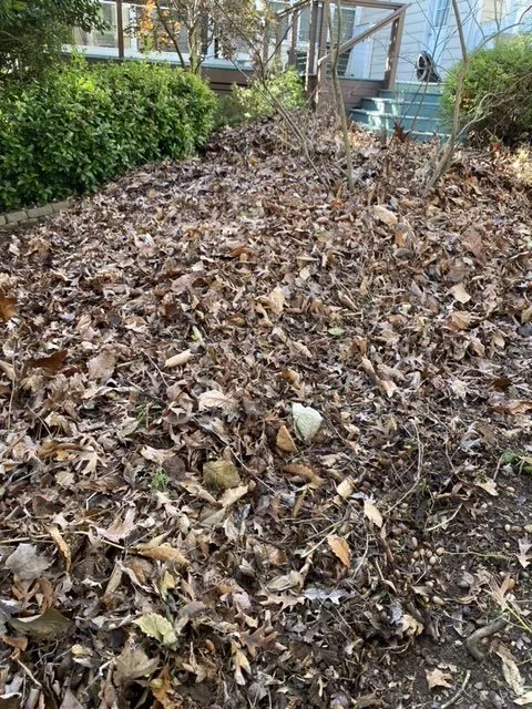 Expert outdoor landscaping in Chapel Hill, NC - Dos Bros Lawn Care