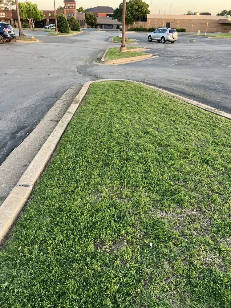 Top-rated landscape installation experts serving Edmond, OK - Dos Gringos Lawn