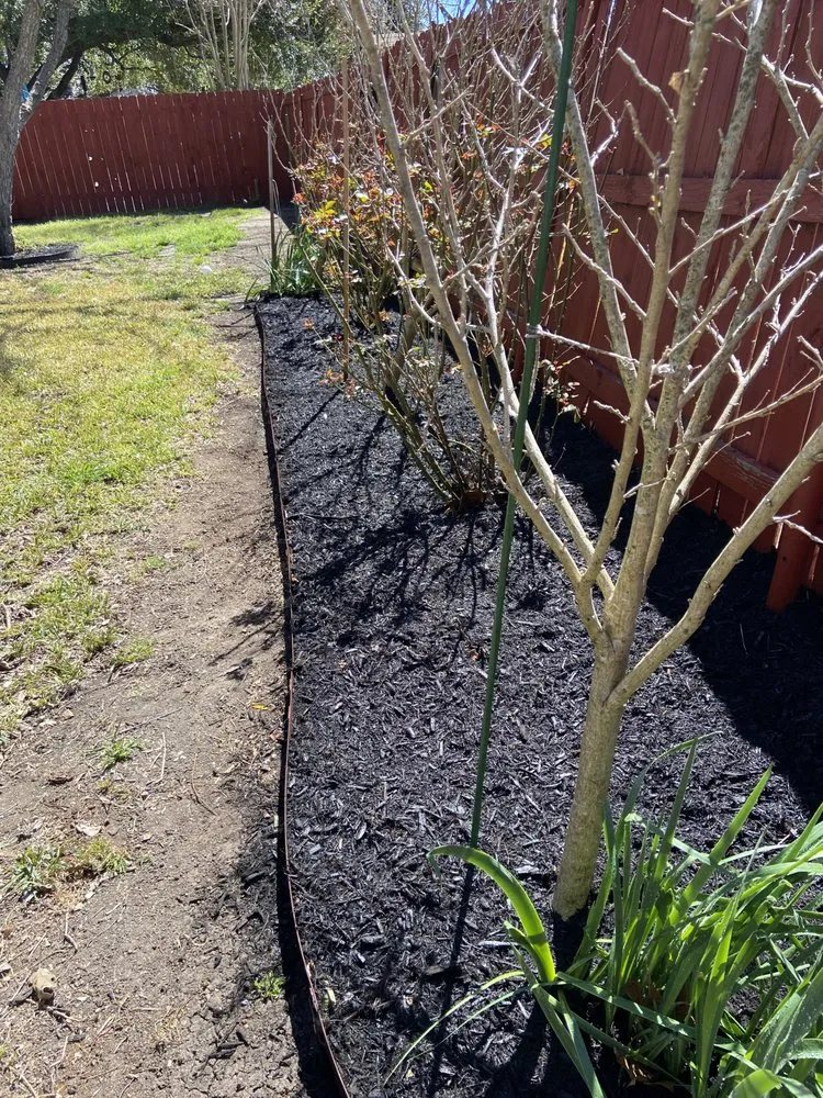 Top-rated residential landscaping for beautiful yards across Del Valle, TX - Dos Landscaping Services