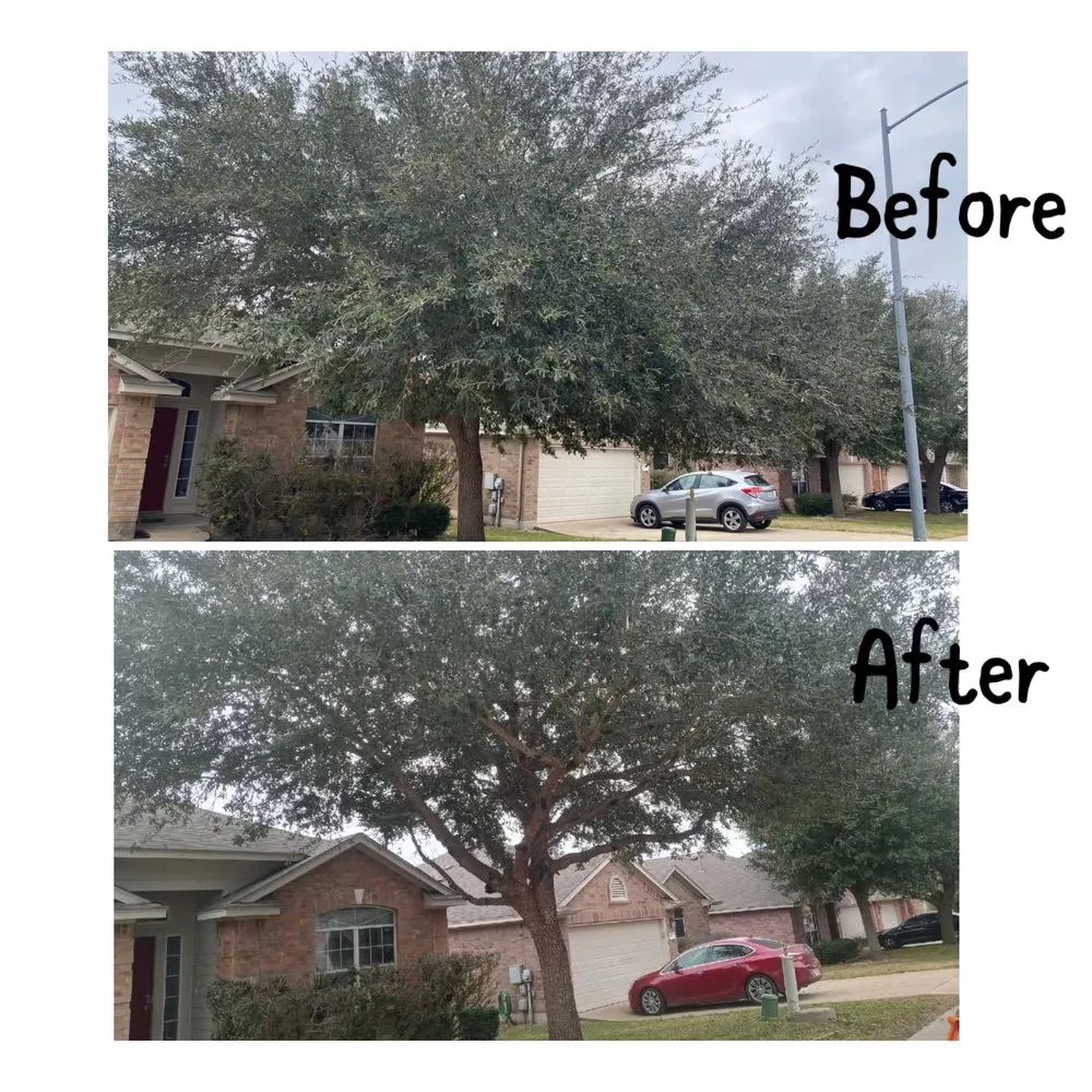 Trusted landscape design in Del Valle, TX - Dos Landscaping Services