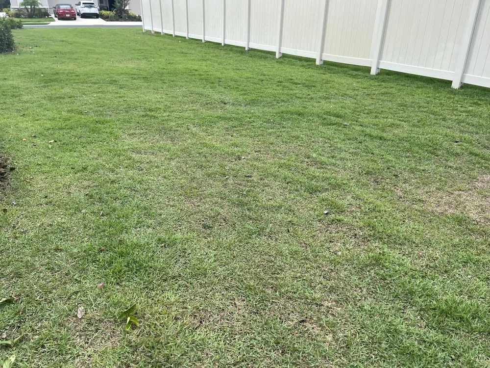 Professional lawn care service with custom design across Bradenton, FL - Dos’amigos yard work