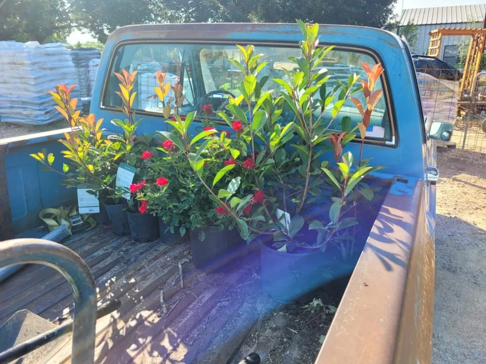 Top-rated landscaping services for homes across Elgin, TX - Dosbros Landscaping