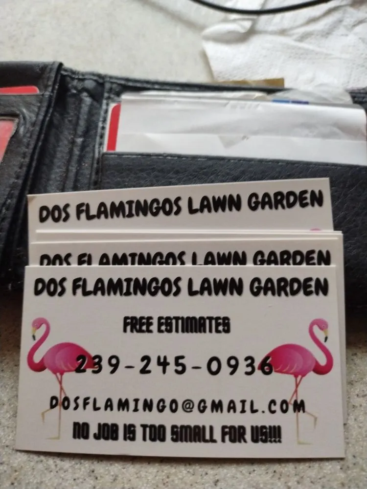 Trusted landscaping services in Bonita Springs, FL - Dosflamingo lawn & garden