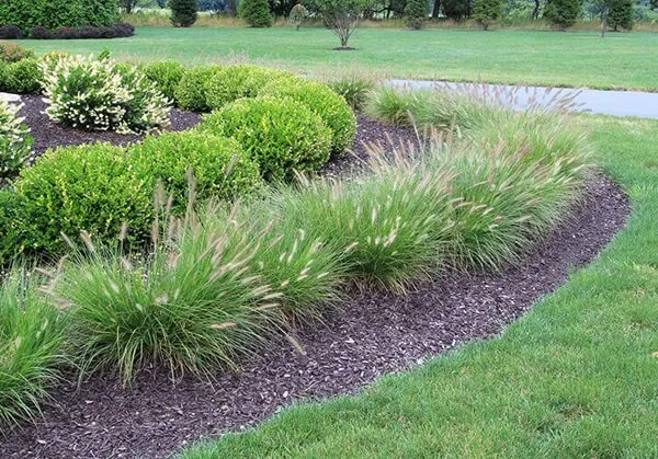 Custom yard cleanup service in Woodland Park, NJ by Doshi Group Landscaping