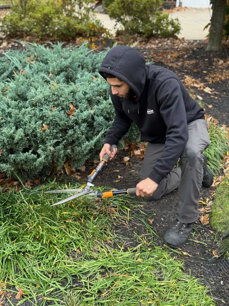 Affordable yard cleanup service experts serving Bay Village, OH - Doskoch Lawn Care