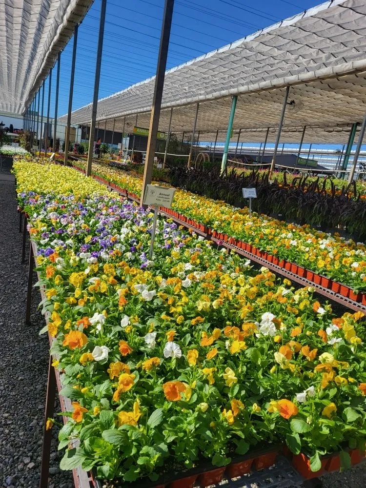 Expert yard cleanup service for year-round maintenance across Sperry, OK - Doss Landscaping