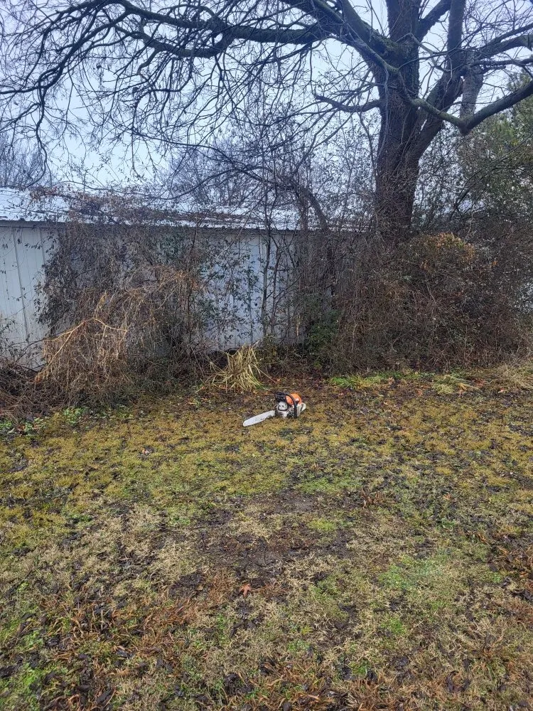 Top-rated landscaping services for outdoor upgrades across Sperry, OK - Doss Landscaping