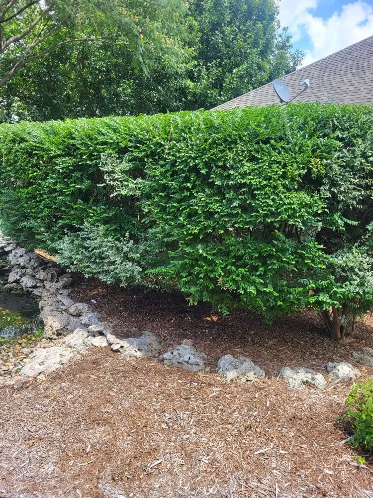 Trusted yard cleanup service experts serving Sperry, OK - Doss Landscaping