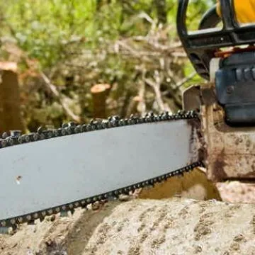 Doss Tree Service Logo