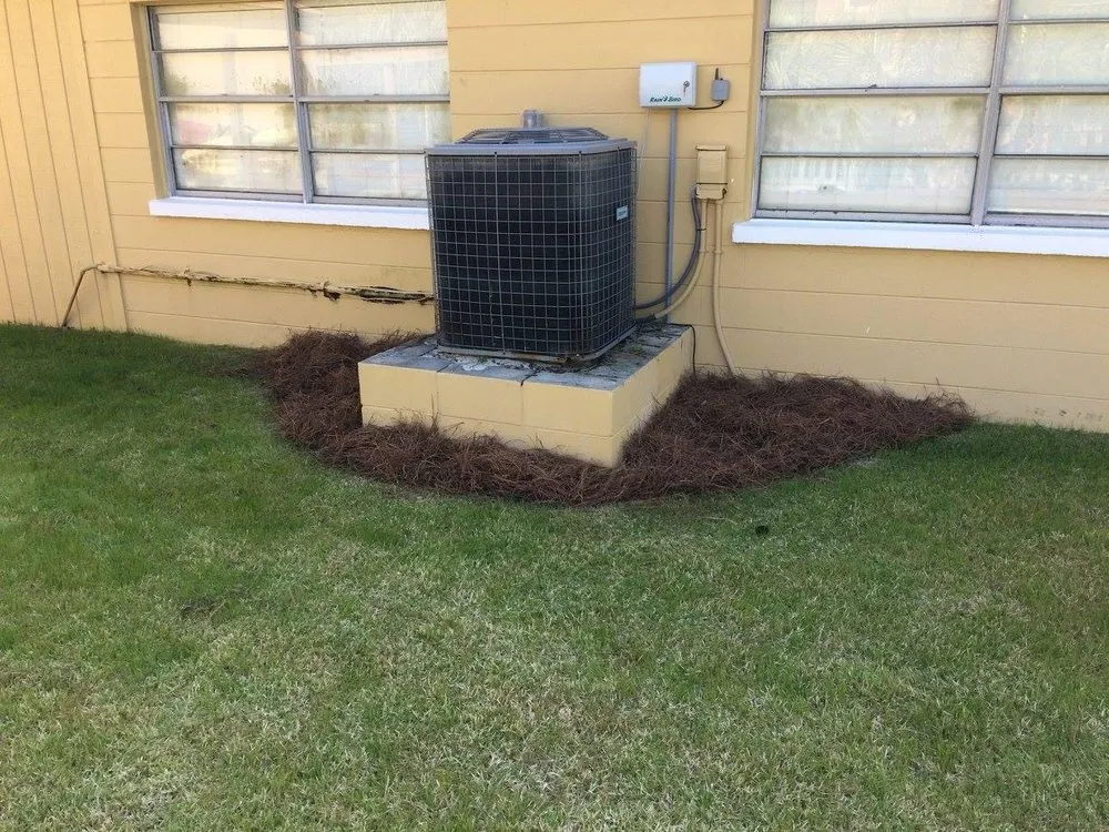 Top-rated yard cleanup service in Panama City, FL by Doster’s