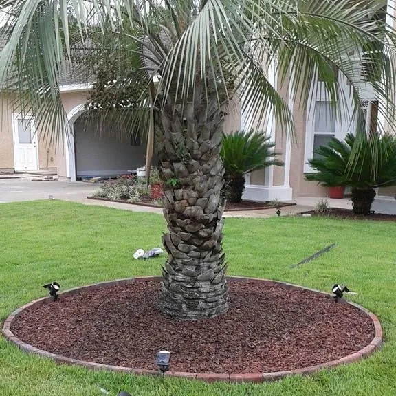Top-rated garden landscaping experts serving Panama City, FL - Doster’s