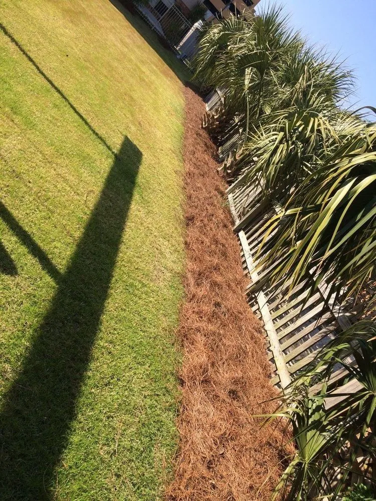Professional garden landscaping in Panama City, FL by Doster’s