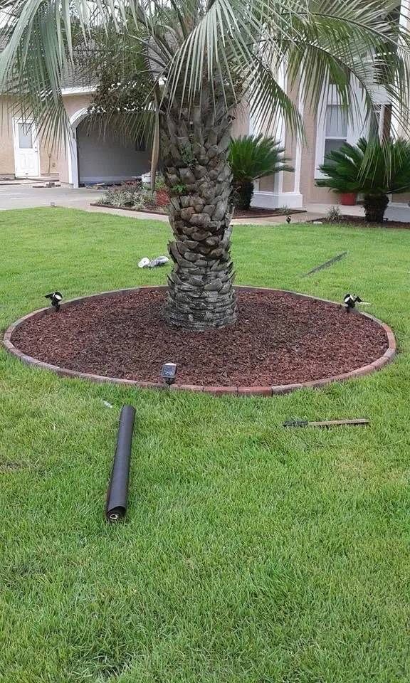 Custom yard maintenance for beautiful yards across Panama City, FL - Doster’s