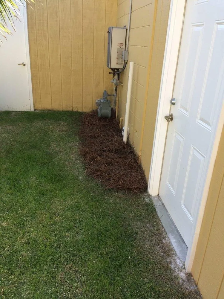 Trusted landscape design for outdoor upgrades across Panama City, FL - Doster’s