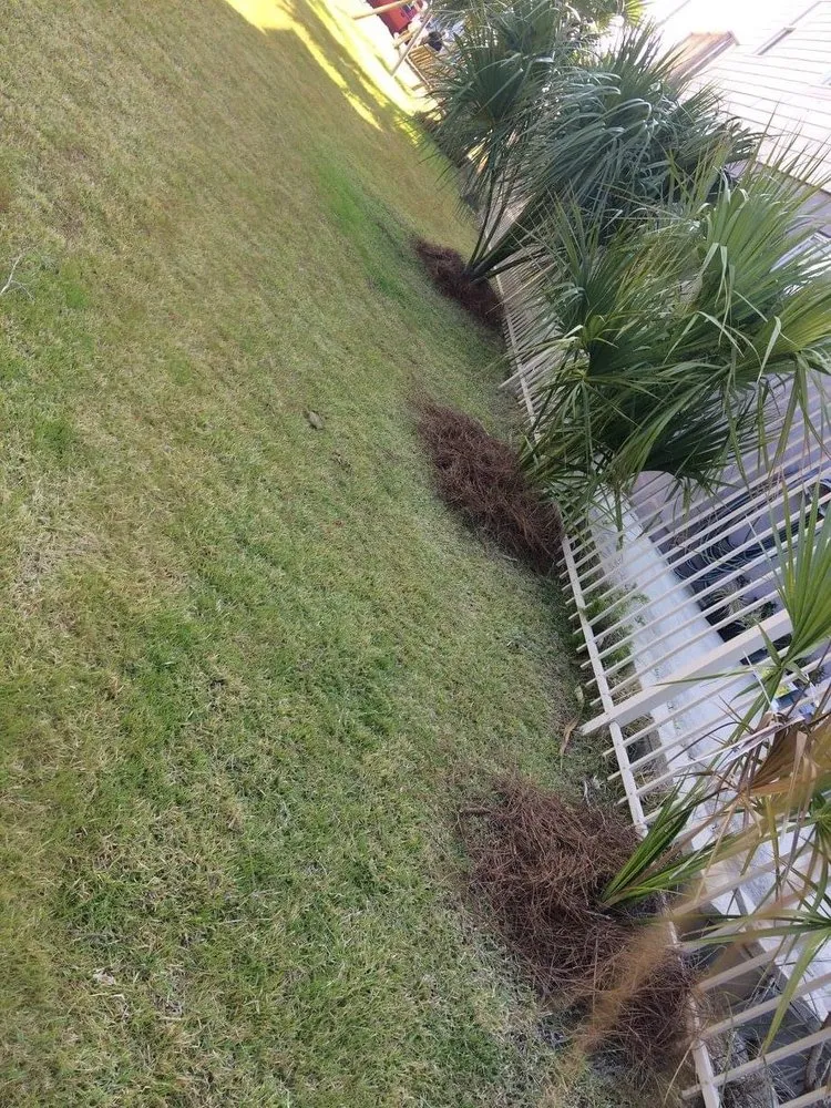 Local landscaping services for beautiful yards across Panama City, FL - Doster’s