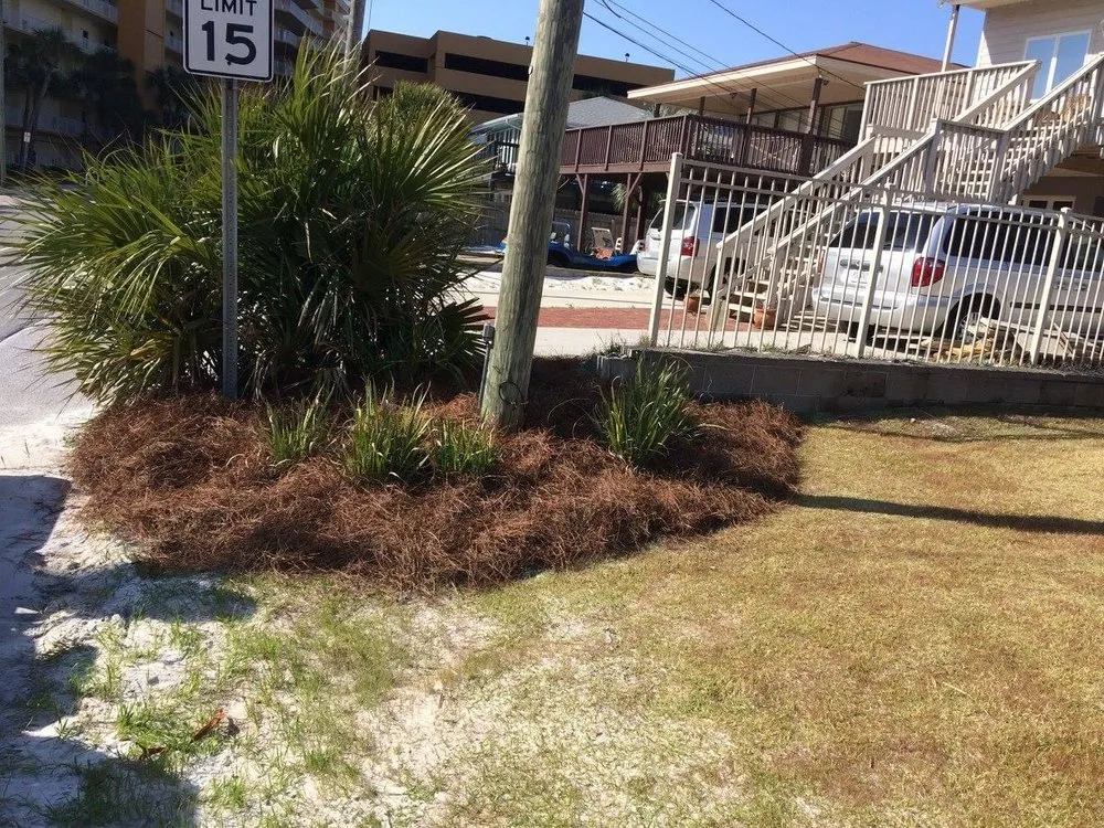 Trusted landscape design in Panama City, FL by Doster’s