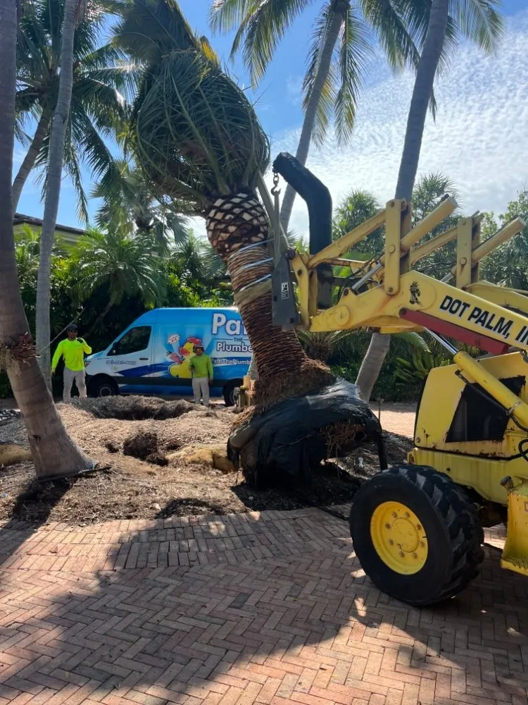 Affordable lawn mowing service in Marathon, FL by Dot Palm Landscaping