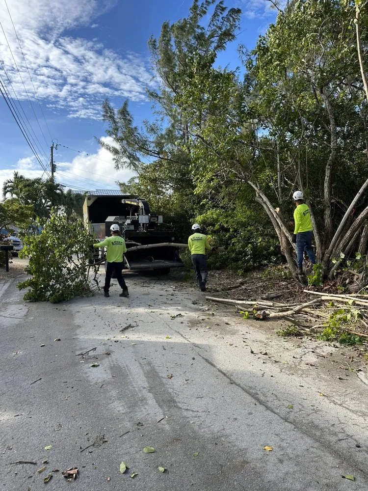Custom outdoor landscaping in Marathon, FL - Dot Palm Landscaping
