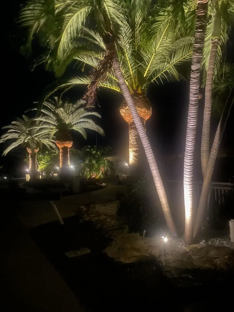 Local landscape design with custom design across Marathon, FL - Dot Palm Landscaping