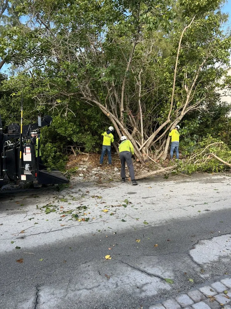 Professional lawn mowing service for outdoor upgrades in Marathon, FL by Dot Palm Landscaping