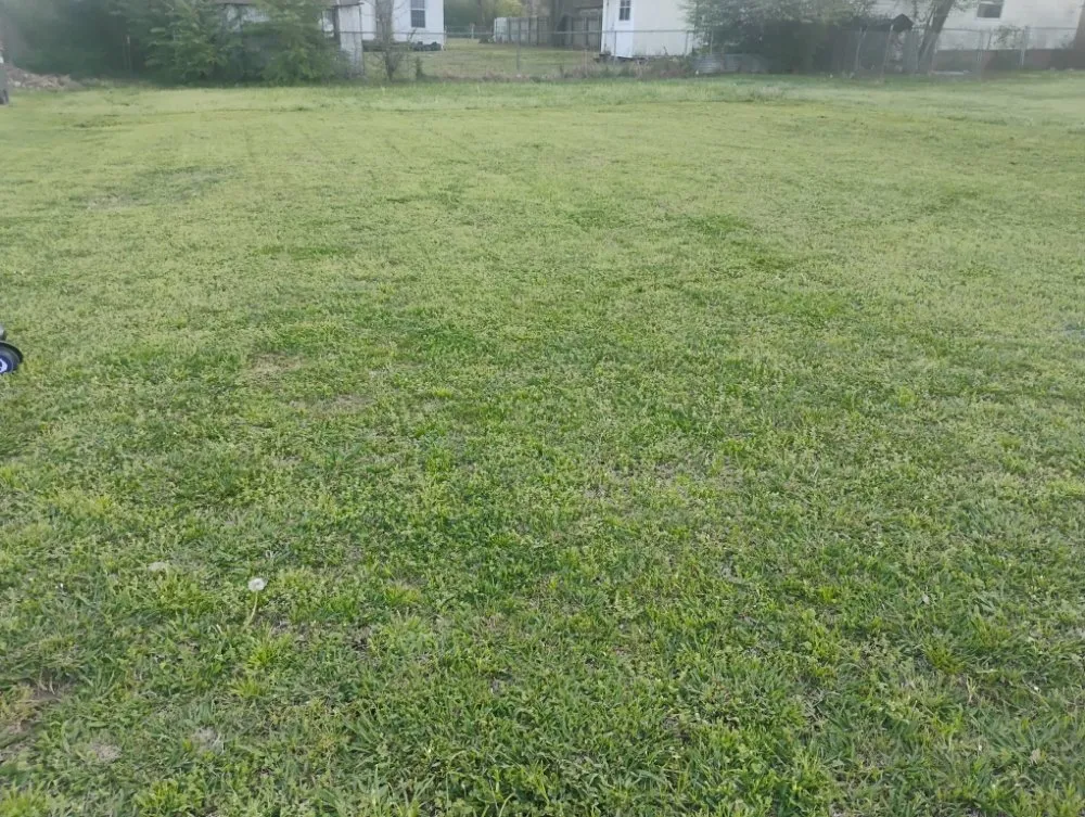 Trusted landscaping services for year-round maintenance across Wister, OK - Dots Landscaping & More