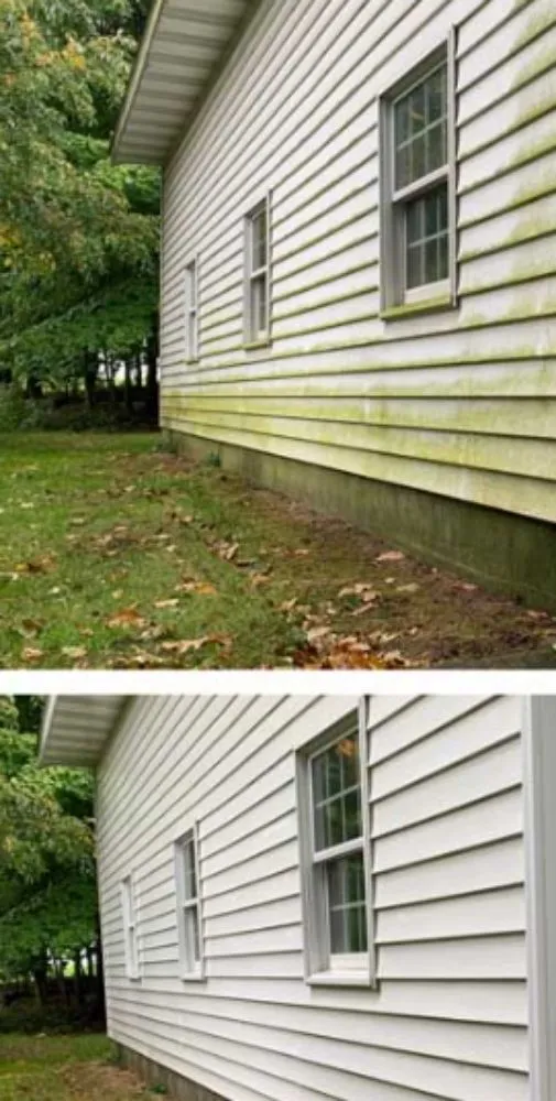 Top-rated yard cleanup service with custom design across Wister, OK - Dots Landscaping & More