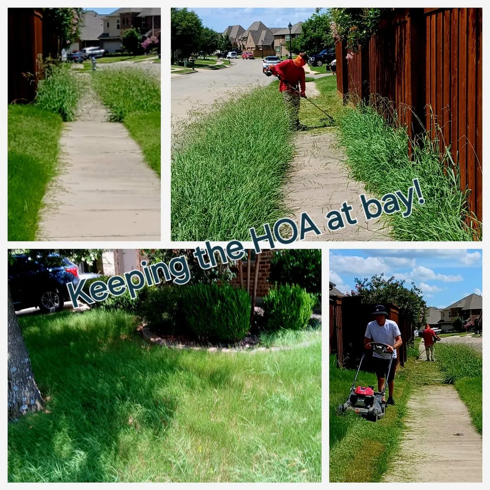 Custom residential landscaping for beautiful yards across Forney, TX - Double A Elite Lawns