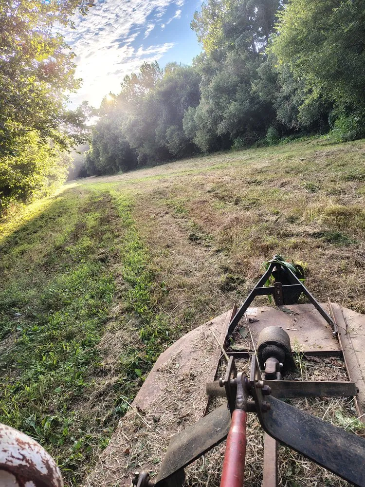 Professional lawn mowing service with custom design across Advance, NC - Double A Enterprise