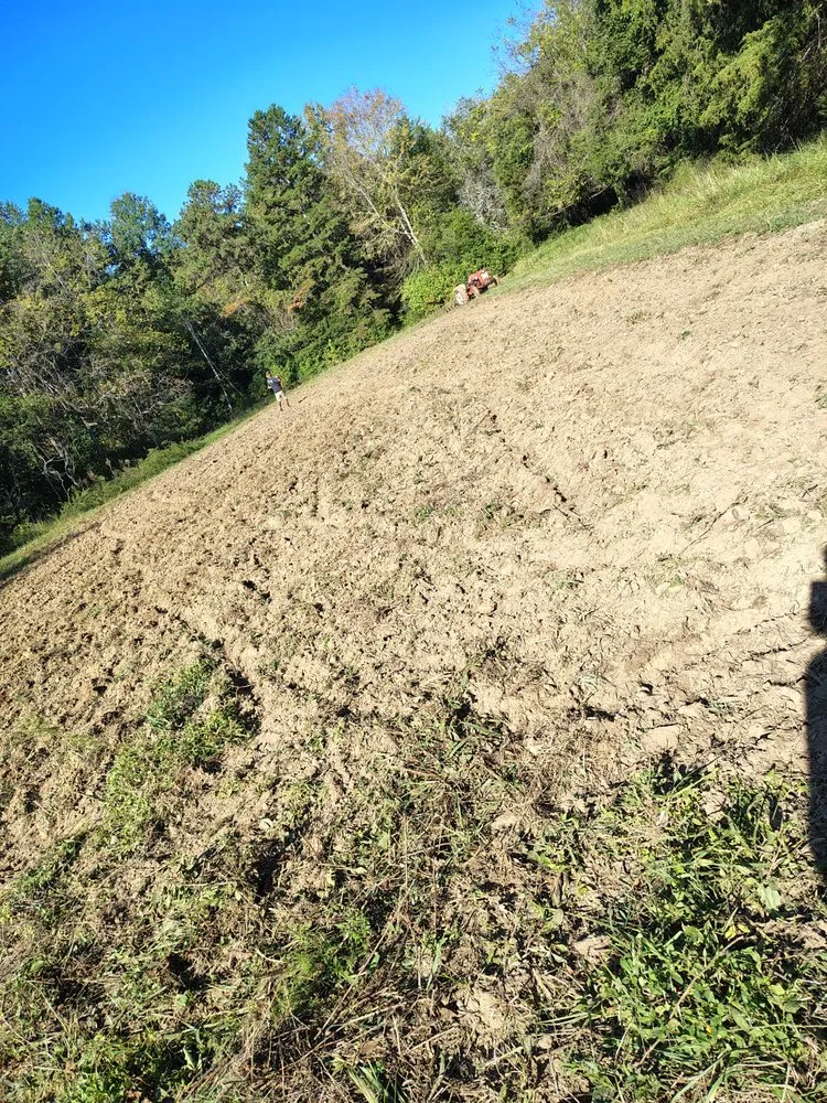 Trusted yard cleanup service in Advance, NC - Double A Enterprise