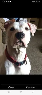 Double A Junk Removal Logo