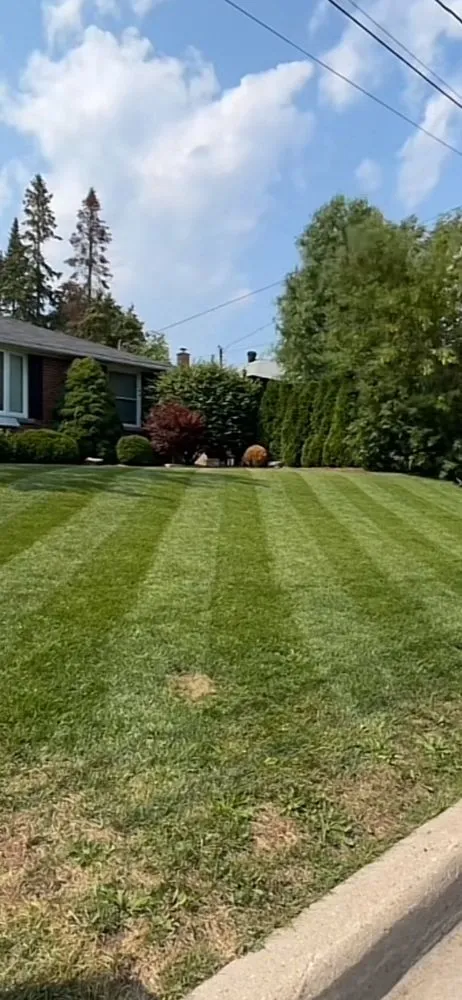 Trusted residential landscaping in Dallas, TX by Double A Landscaping