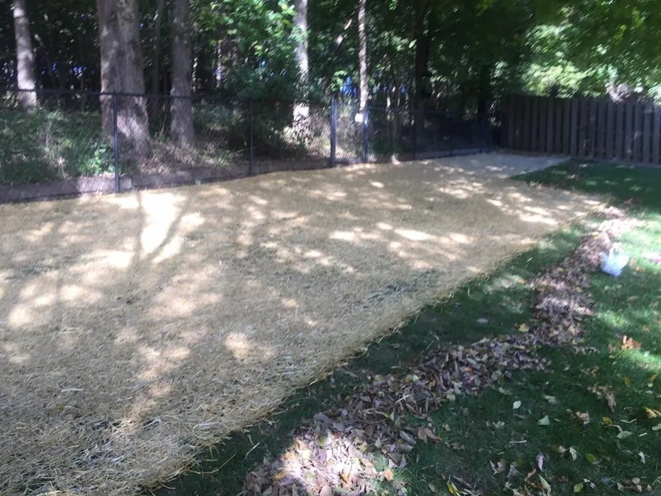 Professional yard maintenance for year-round maintenance in Council Bluffs, IA by Double A Lawns