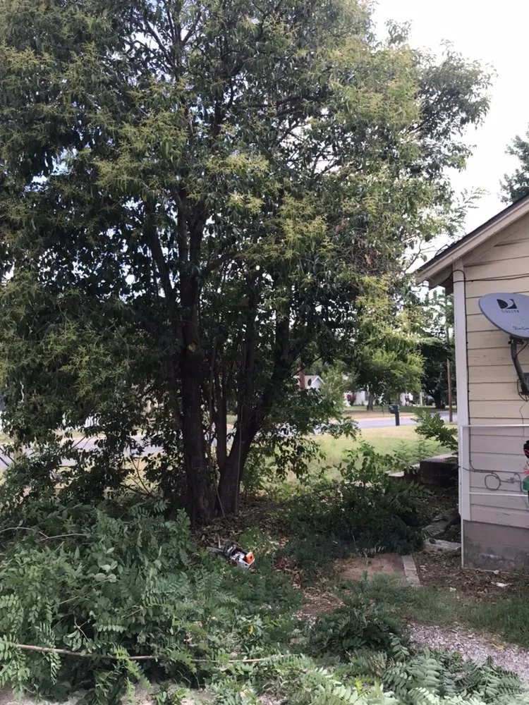 Custom residential landscaping experts serving Leander, TX - Double A Tree Works