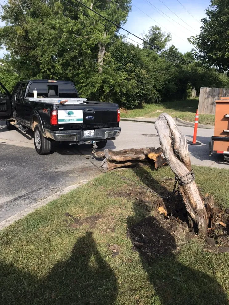 Professional residential landscaping for beautiful yards in Leander, TX by Double A Tree Works