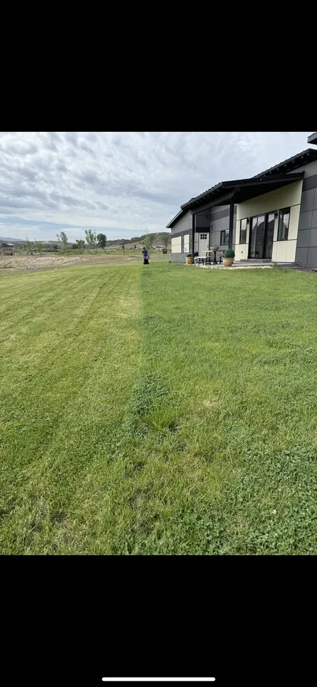 Affordable landscaping services for residential properties in Glenwood Springs, CO by Double AA Landscaping