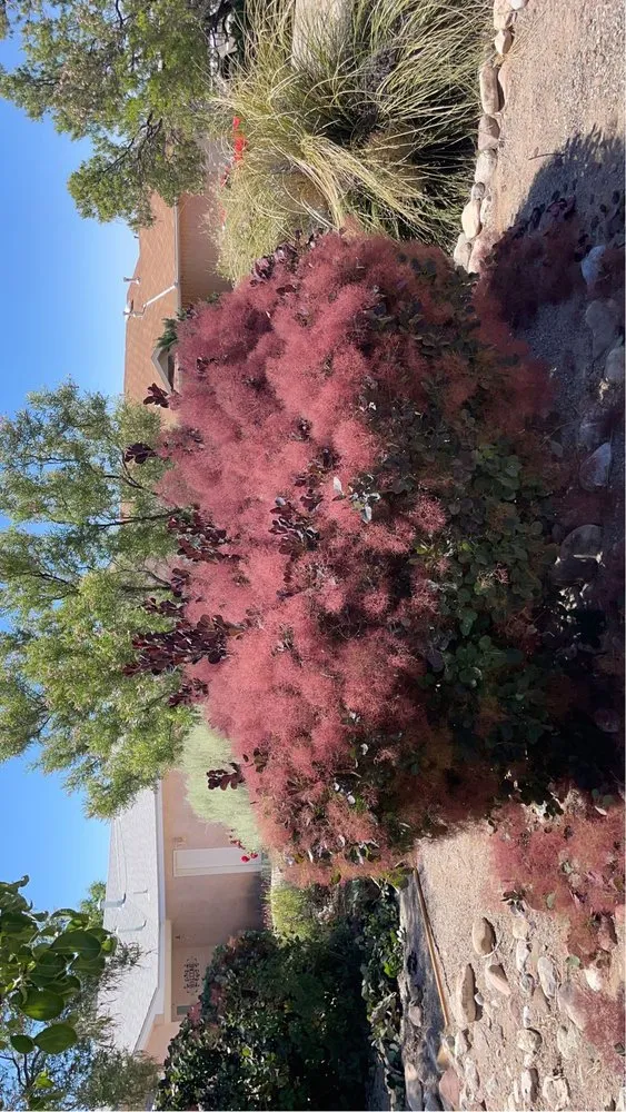 Top-rated garden landscaping for year-round maintenance across NM, NM - Double AA’s landscaping
