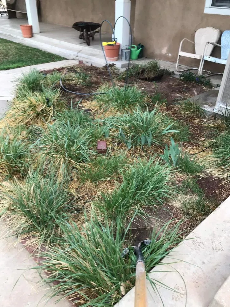 Affordable yard cleanup service in NM, NM by Double AA’s landscaping