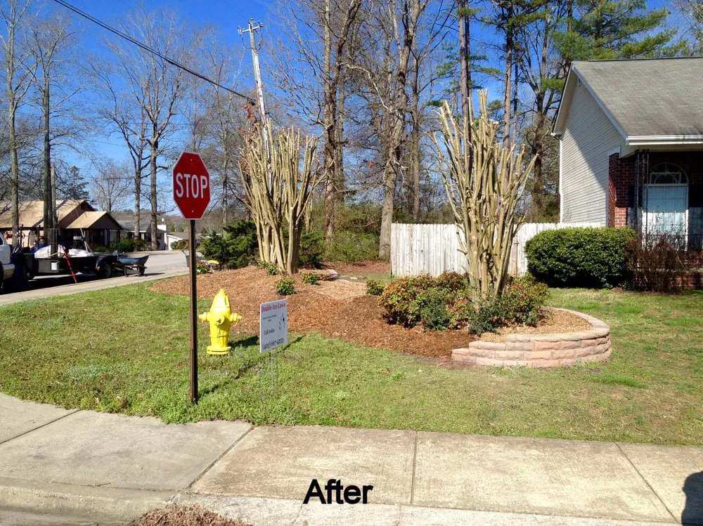 Top-rated yard maintenance for year-round maintenance in Chattanooga, TN by Double Ace Lawn Maintenance