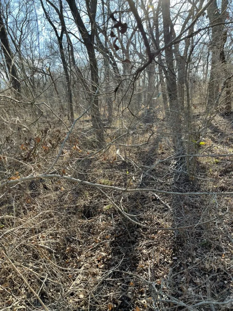 Top-rated yard cleanup service experts serving Italy, TX - Double B Land Services