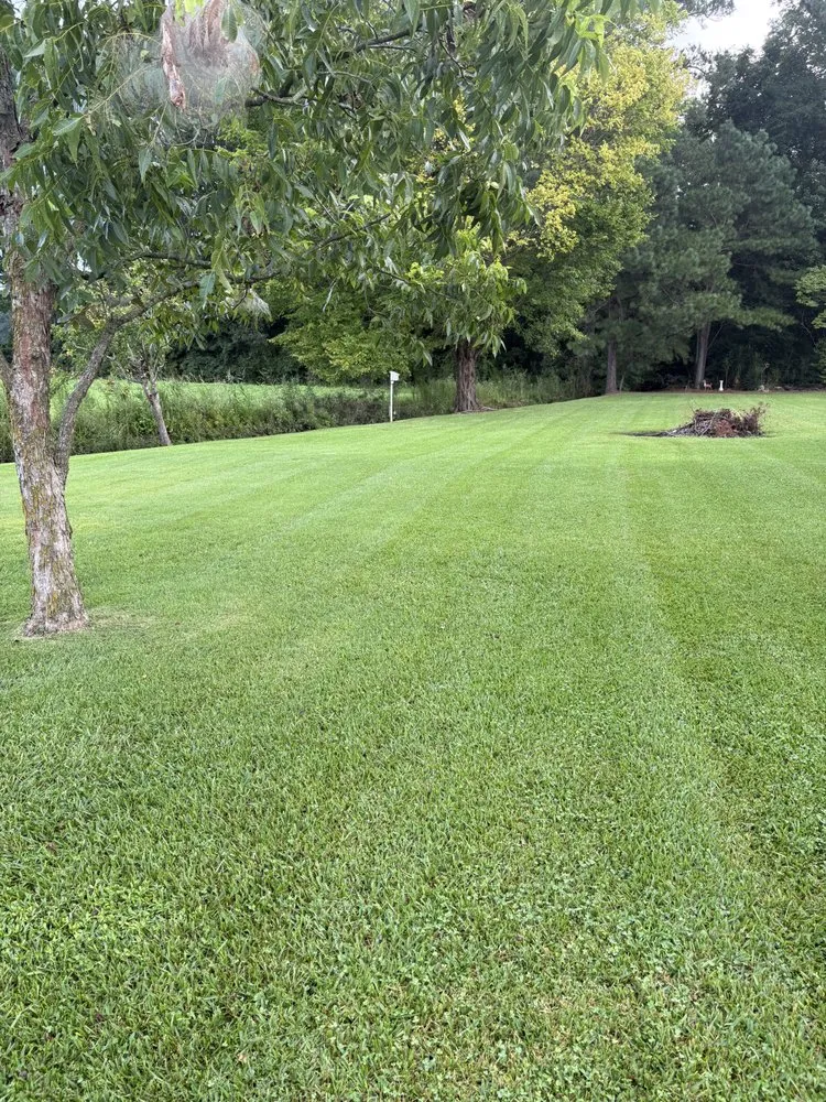 Local residential landscaping experts serving Bladenboro, NC - Double B Lawncare