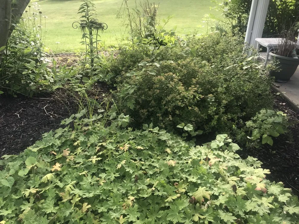 Local lawn care service experts serving Union, KY - Double B’z Landscaping