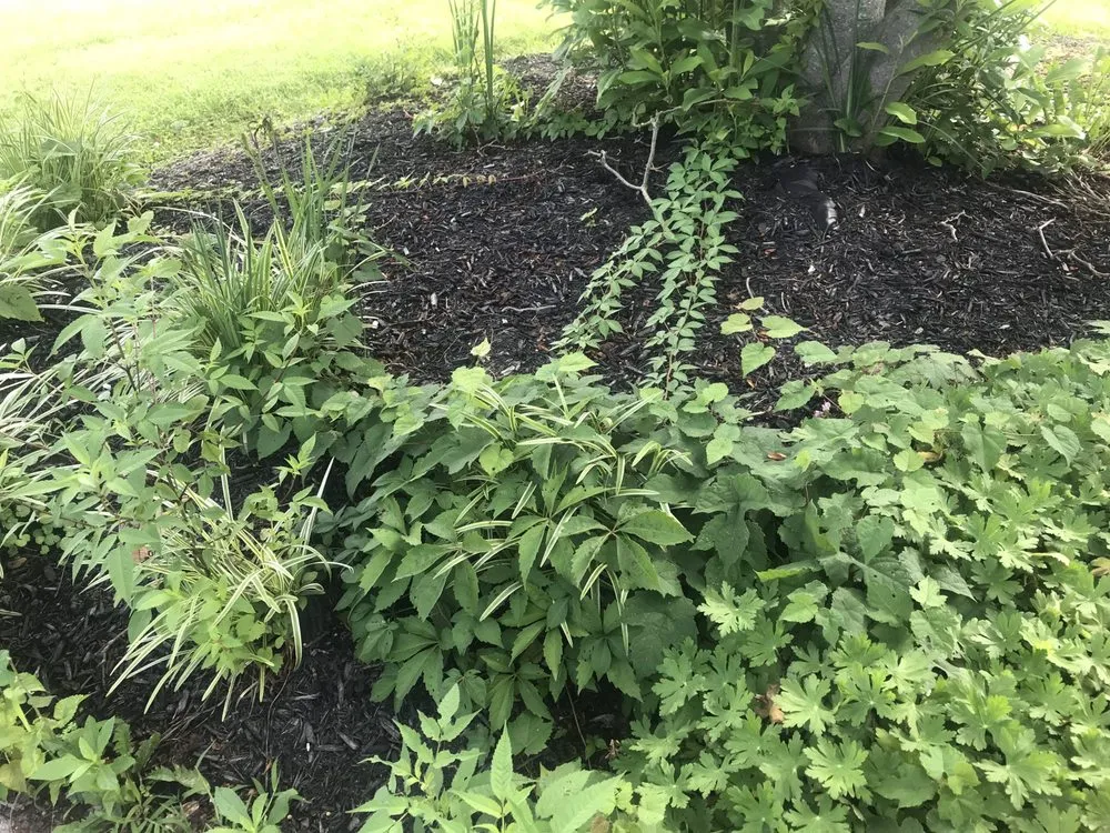 Expert outdoor landscaping in Union, KY - Double B’z Landscaping